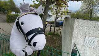 Hobby horsing Dressur Training mit Ora