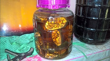 Vlog 369 - Ngâm rượu - Ngâm rượu chuối hột.