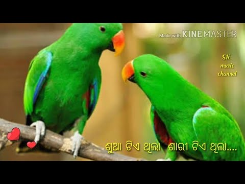 Tu emitika shayari Odia song full video