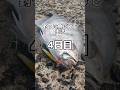 釣った魚だけで生活4日目 #shorts #魚 #釣り #魚釣り #料理