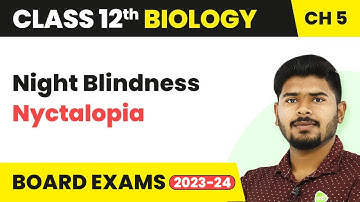 Night Blindness (Nyctalopia) | Class 12 Biology Chapter 5 NCERT/NEET (2022-23)