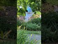 Pretty Wing dance in park #dance