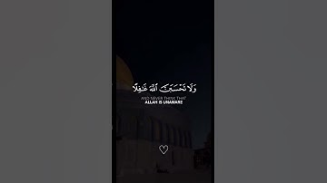 اكتب شيء تؤجر عليه 🥰🤍 #quran #قران #قرآن #راحة_نفسية #سورة_الكهف #فارس_عباد