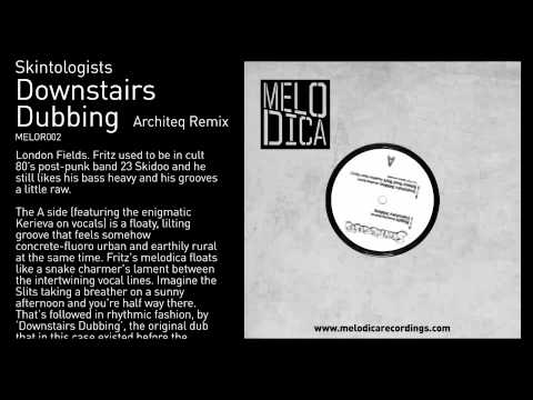Skintologists — Skintologists - Downstairs Dubbing (Architeq Remix)