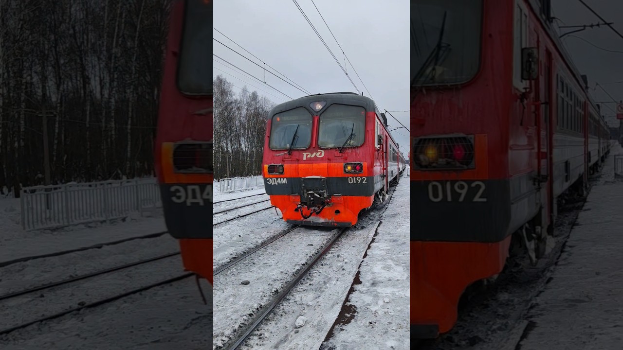 "Казалось бы просто отправление..." - Светомузыка от ЭД4М - 0211/0192, о.п. 274км.