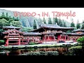 Byodo - In Temple | Exploring Oahu Hawaii | A Must See