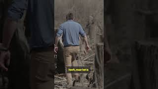 Thumbnail for Leidt de vraag naar biomassa tot grootschalige kaalkap in Amerika?