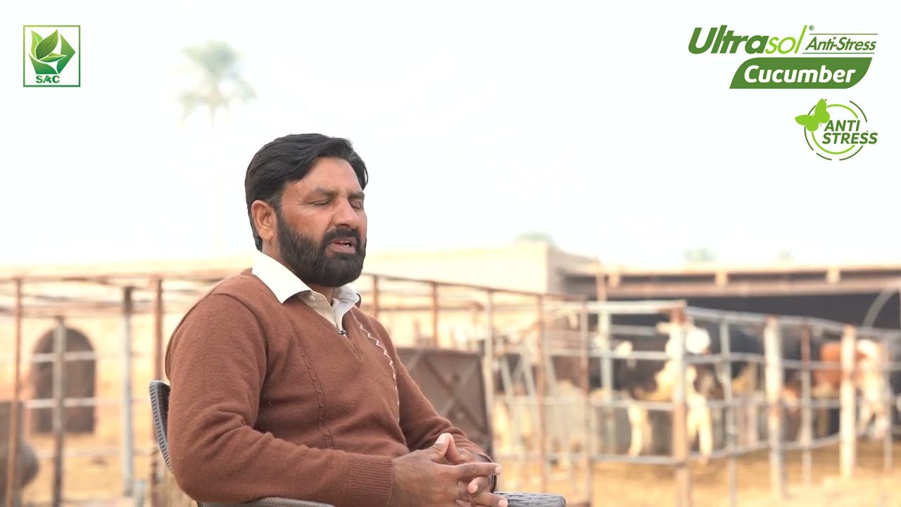 Ch  Muhammad Tariq Dhanot - Ultrasol Anti-Stress Cucumber Testimonial