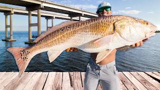 48 Hrs Chasing Giants on Florida's Space Coast! (PB's & Redemption)