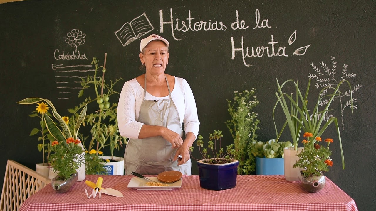 Panela rallada para frutos jugosos - YouTube