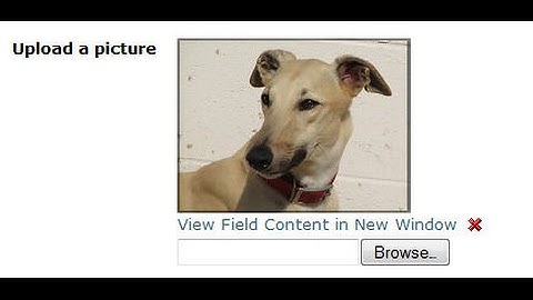 how to upload image to folder and insert record to database