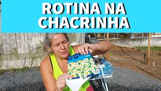 ROTINA NA CHACRINHA #sobrevivencialismo #roça #chácara chacara