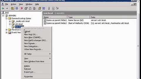 Edit host record (A) name in Windows DNS