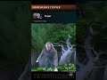 Новый патч в доте #dota #dota2 #дота2 #newpatch