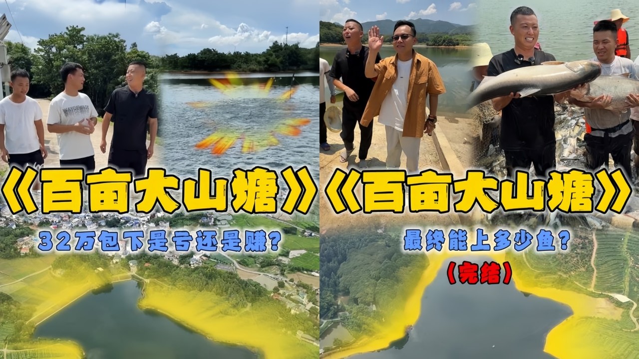 小飞哥花32万包下110亩的大山塘，到底能上多少鱼是亏还是赚？