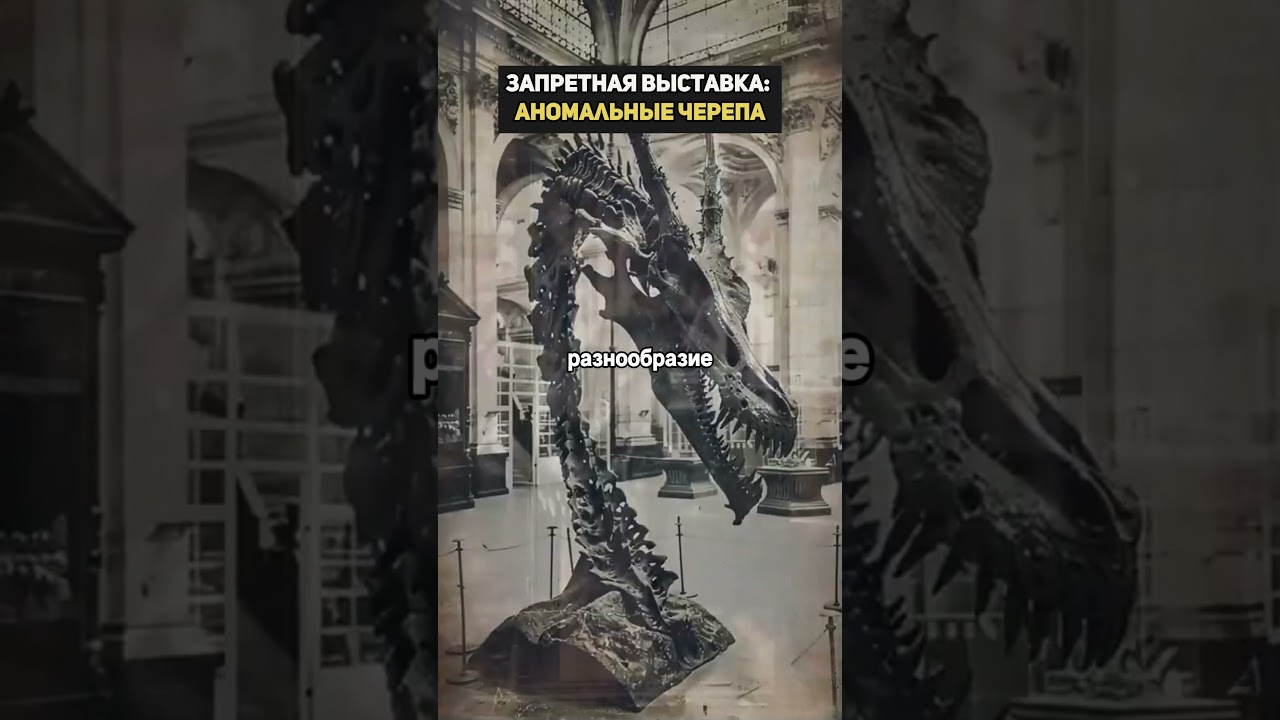 Гигантские черепа что не договаривает наука