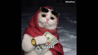 Fr Bro  cat funny shorts