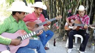 Los Incontenibles de Cebadilla Ver.