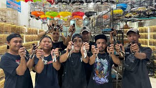 UPDATE STOK TERBARU BURUNG KACER - TLEDEKAN - JINJING PETULAK DLL