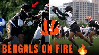 Bengals Training Camp Just Got INSANE — Full Breakdown