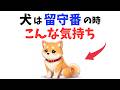 【愛犬の本音】犬は留守番の時“こんな気持ち”