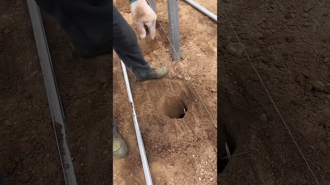 How to Install Anchors in Greenhouse Farms | Membuat Jangkar Rumahkaca 