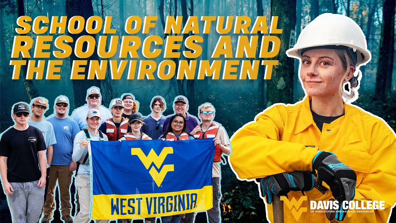 Welcome to the School of Natural Resources and the Environment at the Davis College!