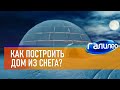 Галилео ☃ Как построить дом из снега?