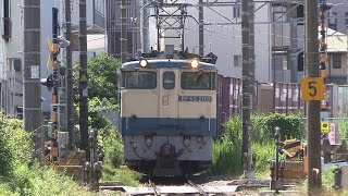 [JR貨物] 72ﾚ EF65-2119号機が尻手短絡線通過 !