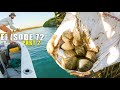 CATCHING and GATHERING our food living in this remote AUSTRALIAN river wilderness