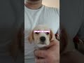 is she cute yes or no???