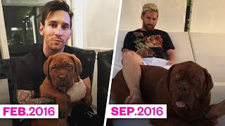 How tall and how heavy is Hulk, Leo Messi's dog? | Oh My Goal
