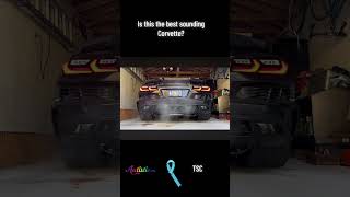Cold Starts Ep. 1 🔥💨C8 Z06 Cold Start #fyp #autisticandproud💙 #c8z06