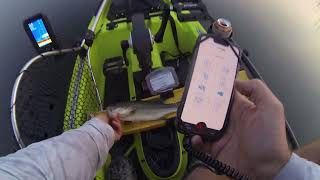 How To Measure And Submit Fish To Tourney X