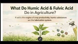 Humic acid vs Fulvic acid explained simply | best soil booster