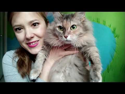 ЭКО / 13 день после переноса эмбриона / ощущения, первые признаки беременности