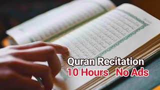 Beautiful Quran Recitation   10 Hours   No Ads screenshot 5