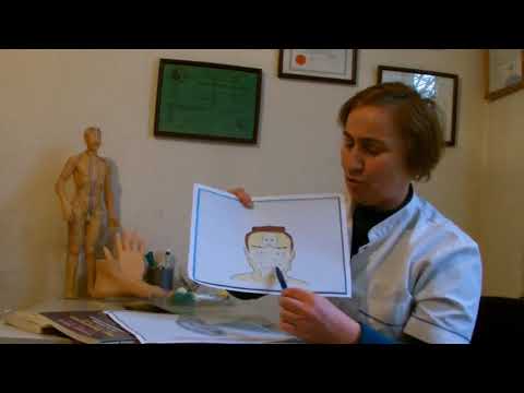 სუ ჯოკ თერაპიის შესახებ - ეკა როსტაშვილი