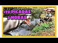 Pescando truchas a cucharilla en rios pequeños de Galicia