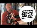 Which Camera Should You Buy? 2020 [Canon vs Nikon vs Sony vs Fujifilm vs Olympus vs Panasonic]