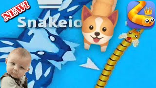 Snake Io Biggest Snake Epic Snakeio Gameplay Most Delicious Snake In Snake. Io