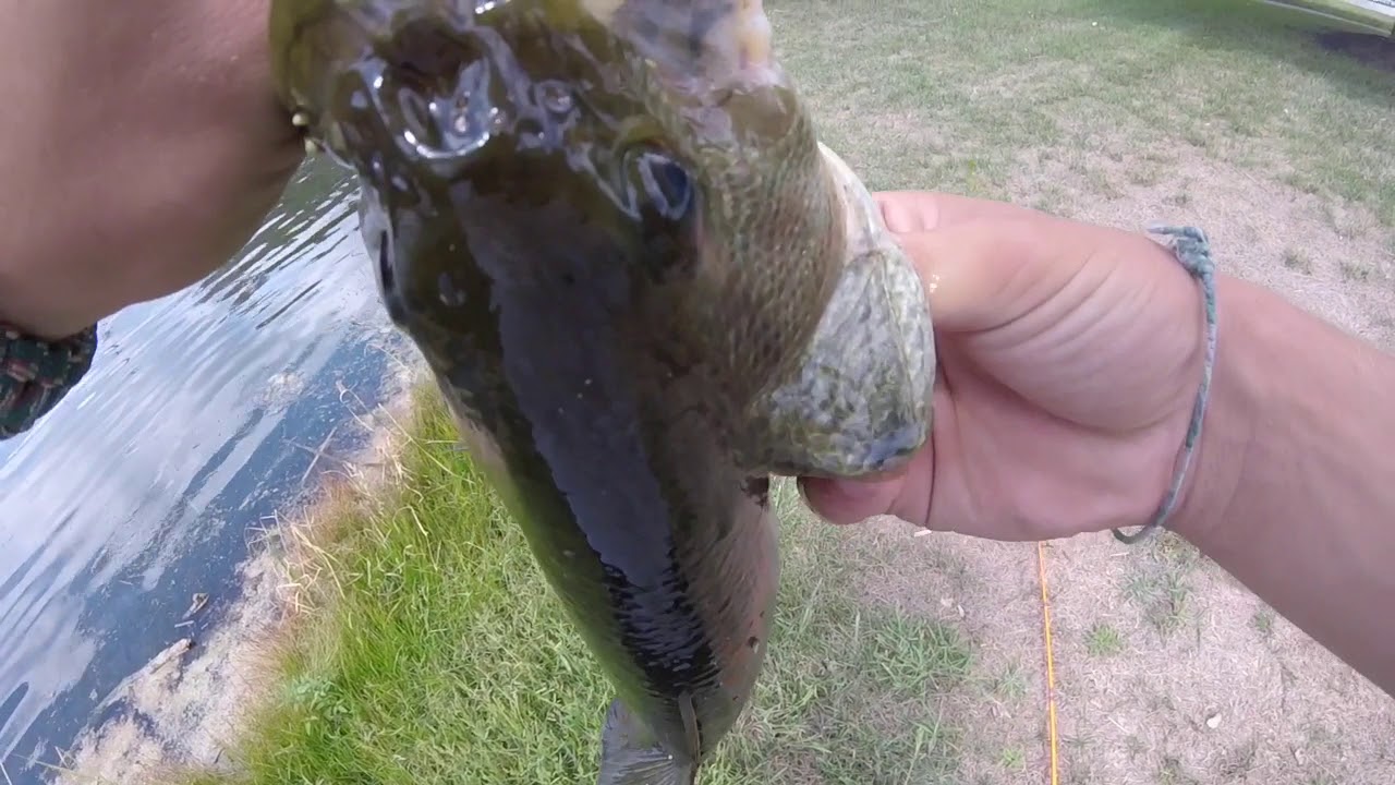 LUCKY TACKLE BOX TOURNAMENT SERIES!!!( Challenge)