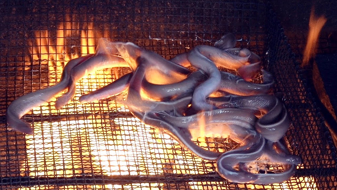 Hagfish Ronbon