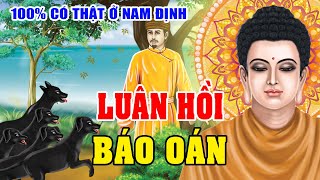 100% Có Thật Ở Nam Định, LUÂN HỒI BÁO OÁN Chó Và Người Nghe Thất Kinh | Phật Giáo Nhiệm Màu