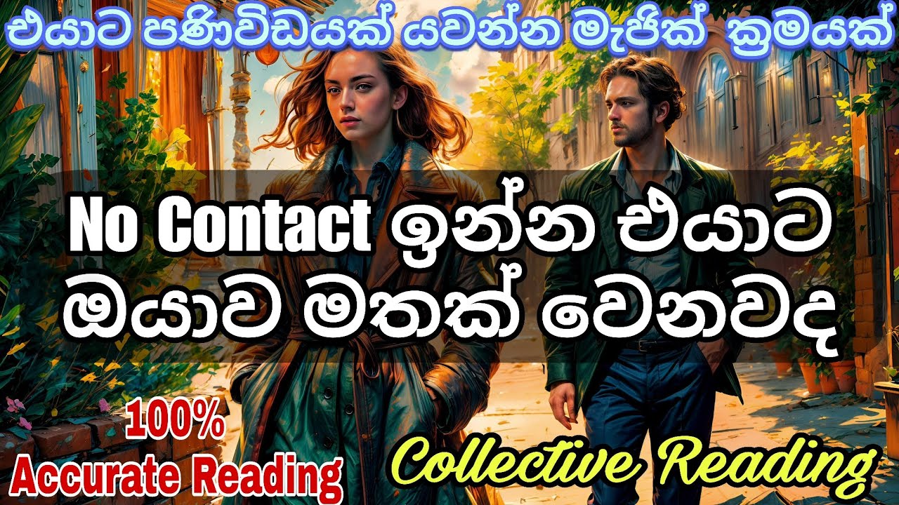 No Contact Situation Tarot Reading sinhala එයාට ඔයා ගැන මතක් වෙනවද #tarot #astrology #nocontact