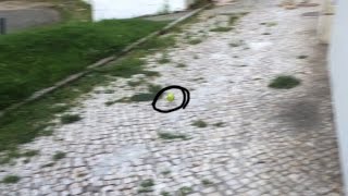 What the hell was that?