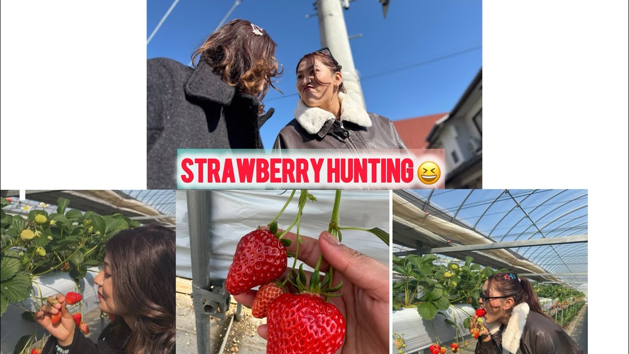 Strawberry Khana gako lah 😊❤️