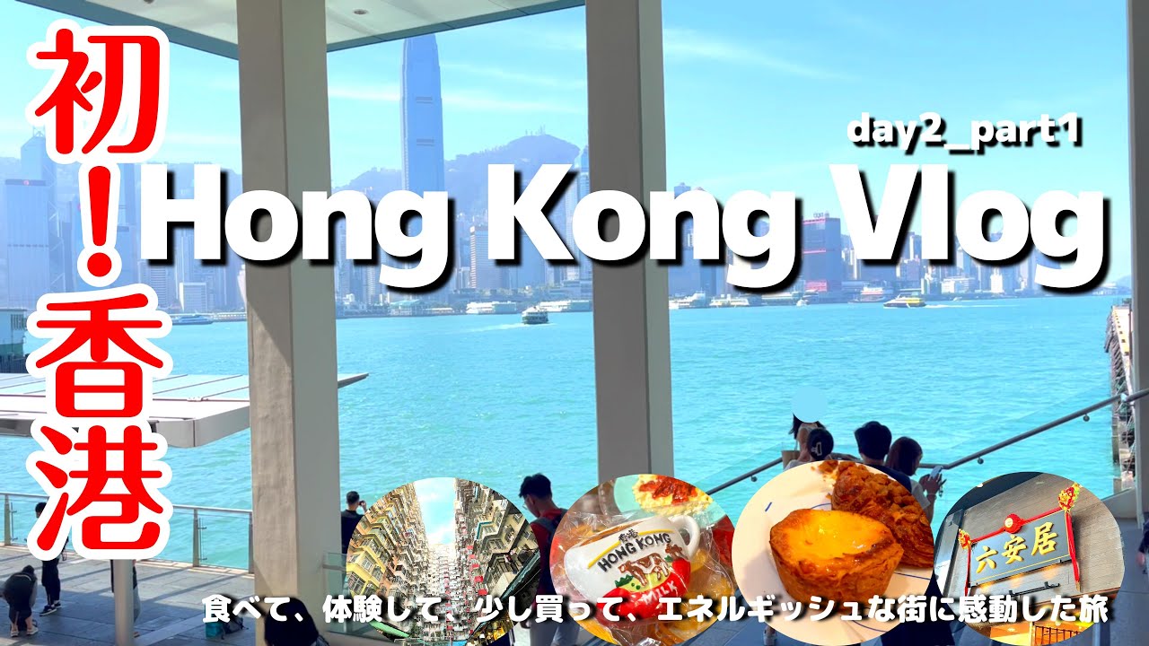 [香港旅行day2]言葉の壁💦…ワゴン式飲茶に挑戦/スターフェーリーで渡るビクトリアハーバー/bakehouseのエッグタルトが美味し過ぎる/ #hongkong #香港 #香港旅行