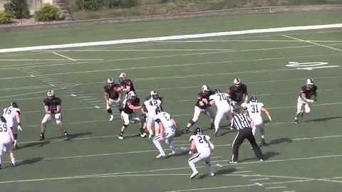 Carnegie Mellon Tartans 2015 Highlights