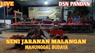 SENI JARANAN MALANGAN MANUNGGAL BUDAYA. LIVE DSN PANDAN KEC BUMIAJI